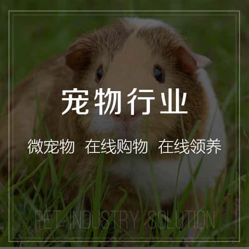 乐山宠物