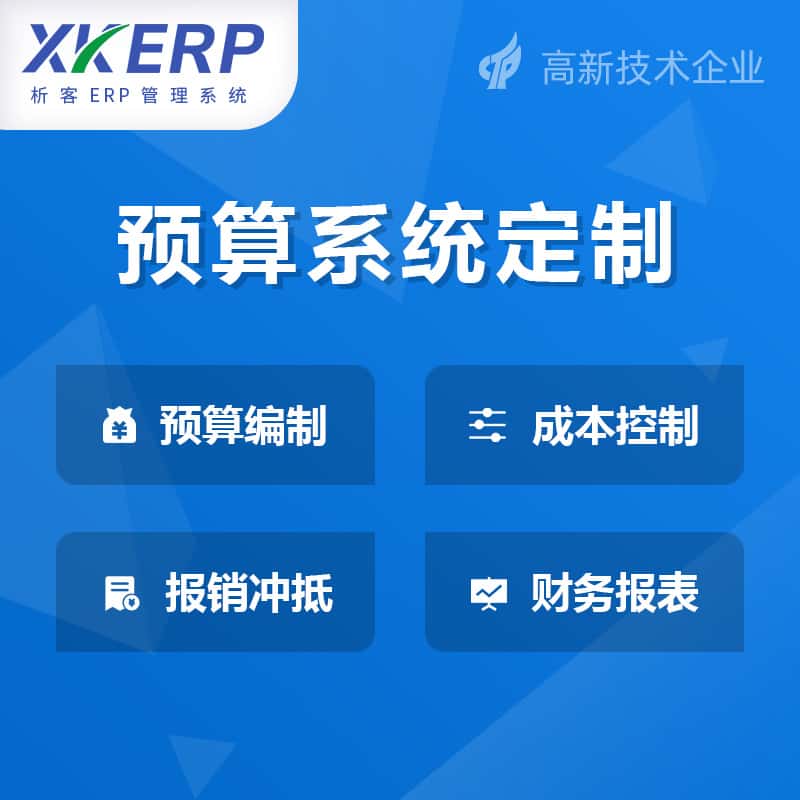 乐山财务预算管理系统
