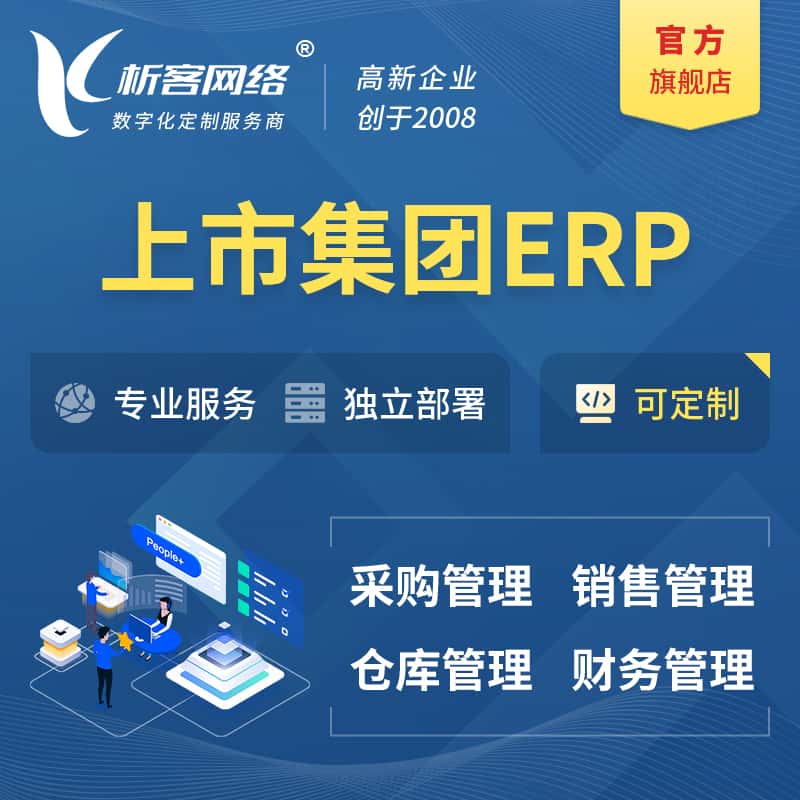 乐山上市集团ERP软件生产MES车间管理系统